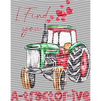 Valentine's Day-QRJ  4163